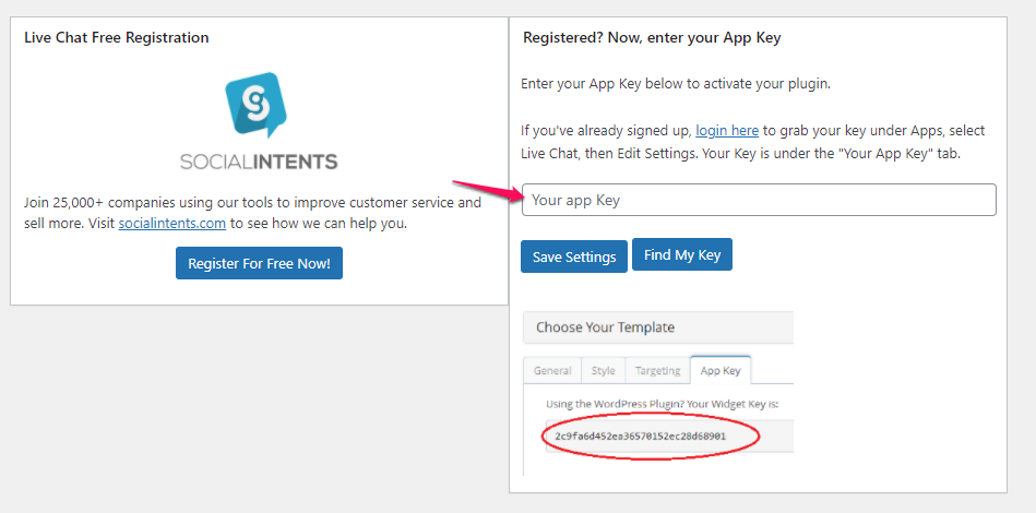 Add widget key within the WordPress plugin